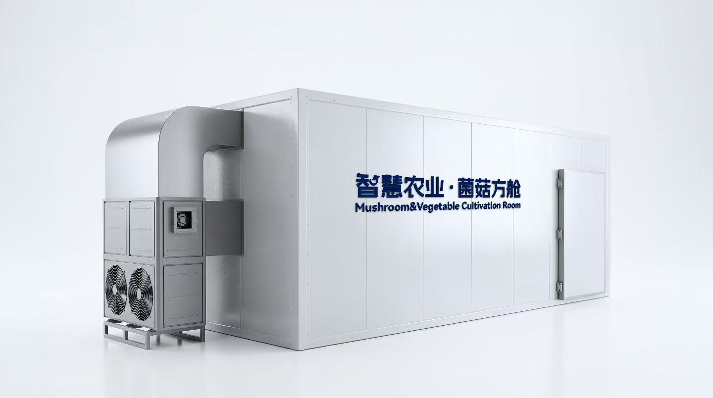菌菇集装箱：方寸之间，撬动现代农业新支点