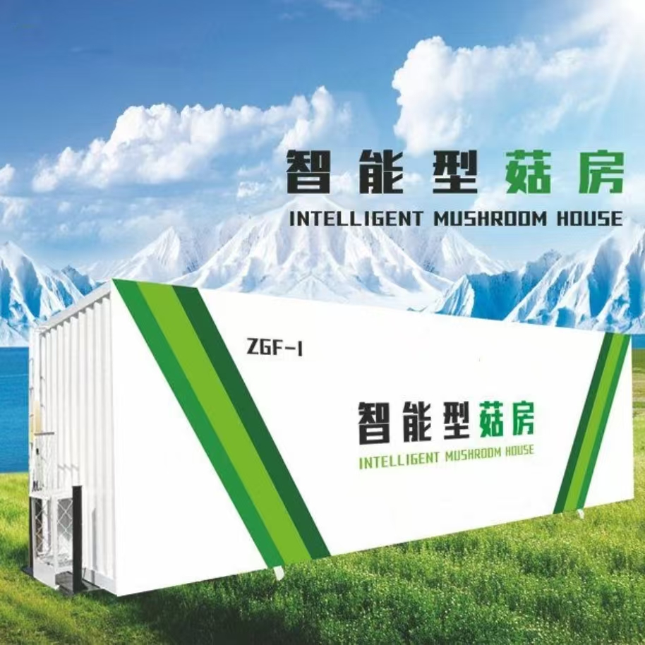 菌菇隧道微型培育农场：小空间里的“智富密码”，解锁乡村振兴新赛道